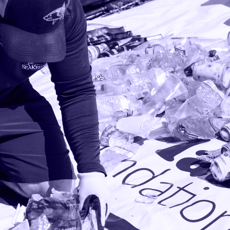 Beach cleanup